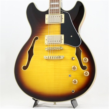 JSM10EM-TTB (Two-tone Burst) [John Scofield Model / SPOT MODEL]