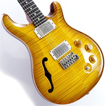 DGT Semi-Hollow Limited Edition (McCarty Sunburst) SN.0390963 2024年生産品