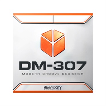 DM-307(代引不可)(オンライン納品)