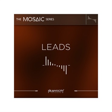 MOSAIC LEADS(代引不可)(オンライン納品)