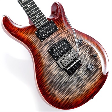 SE Custom 24 Floyd (Charcoal Cherry Burst )