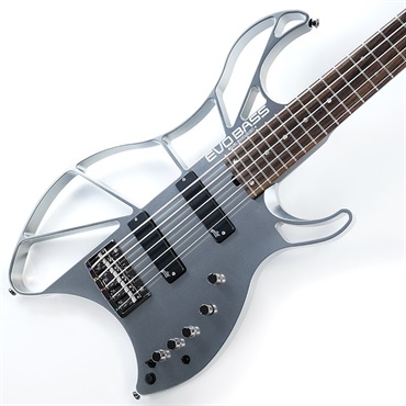 EVO BASS B0101Z-5  Chemical Polishing Aguilar LTD