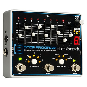 8 Step Program
