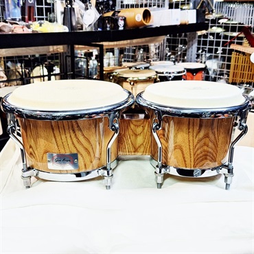 USED 中古 Alex Acuna Series Bongo [GON-AA0785N/ProtectionRacketケース付属]