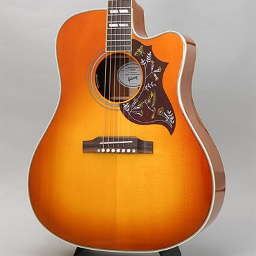 【特別値下げ！！】Hummingbird Standard EC ギブソン