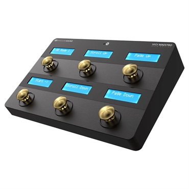 MIDI MAESTRO [Gold Edition]