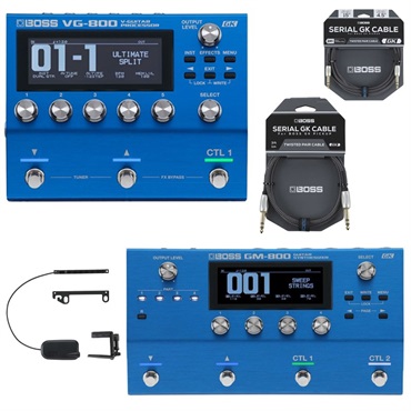 VG-800 + GM-800 V-Guitar With Guitar Synth最強タッグセット