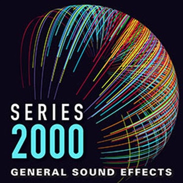 SERIES2000 GENERAL(オンライン納品)(2時間以内に納品)