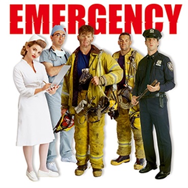 EMERGENCY(オンライン納品)(2時間以内に納品)