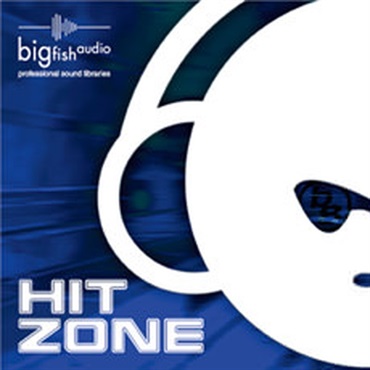 HIT ZONE(オンライン納品)(2時間以内に納品)