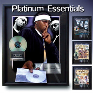 BIG FISH AUDIO PLATINUM ESSENTIALS(オンライン納品)(2時間以内に納品)