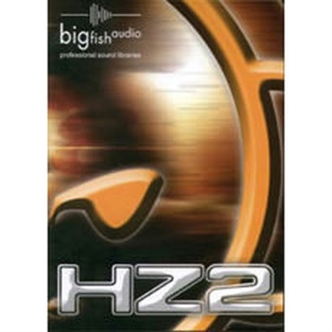HIT ZONE 2(オンライン納品)(2時間以内に納品)
