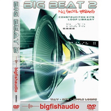 BIG BEAT 2 NU SKOOL BREAKS(オンライン納品)(2時間以内に納品)