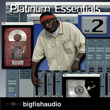 PLATINUM ESSENTIALS 2(オンライン納品)(2時間以内に納品)