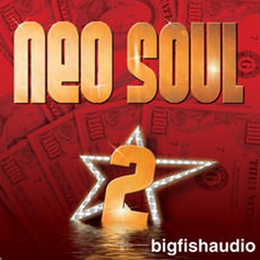 BIG FISH AUDIO NEO SOUL 2(オンライン納品)(2時間以内に納品)