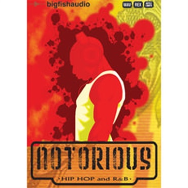 NOTORIOUS(オンライン納品)(2時間以内に納品)