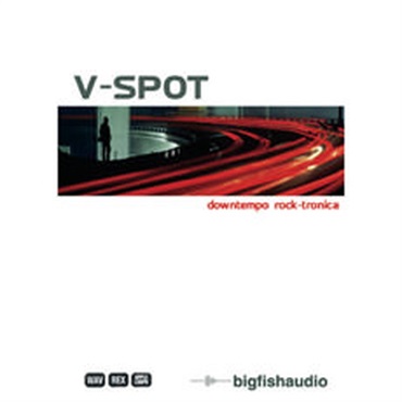 V SPOT(オンライン納品)(2時間以内に納品)