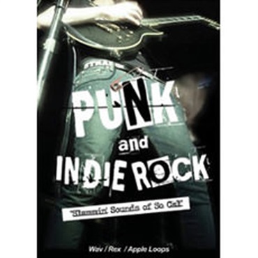 PUNK AND INDIE ROCK(オンライン納品)(2時間以内に納品)