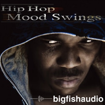 HIP HOP MOOD SWINGS(オンライン納品)(2時間以内に納品)