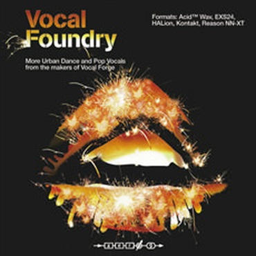 VOCAL FOUNDRY(オンライン納品)(2時間以内に納品)