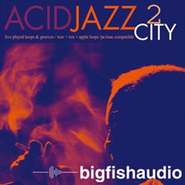 ACID JAZZ CITY 2(オンライン納品)(2時間以内に納品)