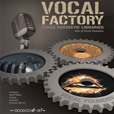 VOCAL FACTORY(オンライン納品)(2時間以内に納品)