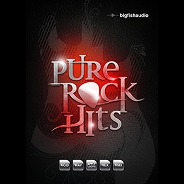 PURE ROCK HITS(オンライン納品)(2時間以内に納品)