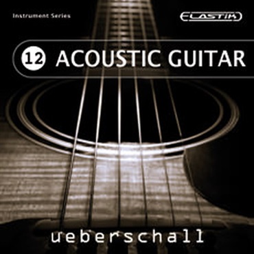 ACOUSTIC GUITAR / ELASTIK(オンライン納品)(2時間以内に納品)