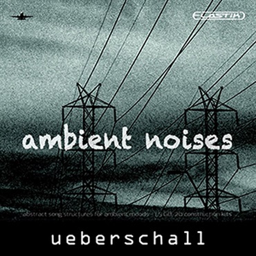 AMBIENT NOISES / ELASTIK(オンライン納品)(2時間以内に納品)