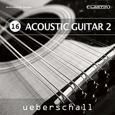 ACOUSTIC GUITAR 2 / ELASTIK(オンライン納品)(2時間以内に納品)