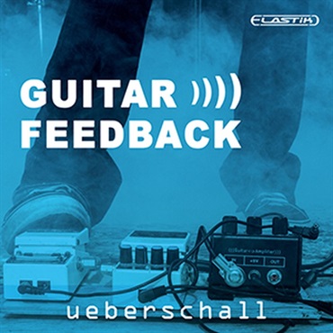 GUITAR FEEDBACK / ELASTIK(オンライン納品)(2時間以内に納品)