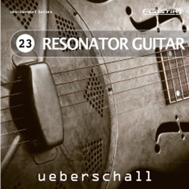RESONATOR GUITAR / ELASTIK(オンライン納品)(2時間以内に納品)