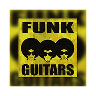 FUNK GUITARS(オンライン納品)(2時間以内に納品)