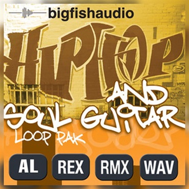 HIP HOP AND SOUL GUITAR PAK(オンライン納品)(2時間以内に納品)