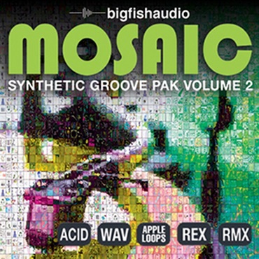 MOSAIC - SYNTHETIC GROOVE PAK VOL.2(オンライン納品)(2時間以内に納品)