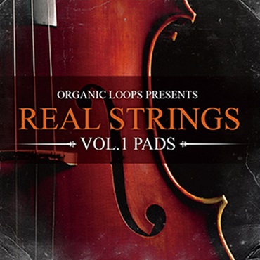 REAL STRINGS 1 PADS(オンライン納品)(2時間以内に納品)