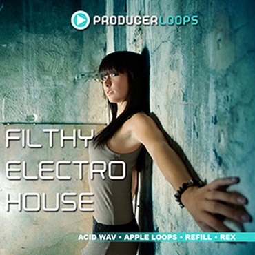 FILTHY ELECTRO HOUSE(オンライン納品)(2時間以内に納品)