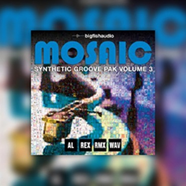 MOSAIC: SYNTHETIC GROOVE PAK VOL.3(オンライン納品)(2時間以内に納品)