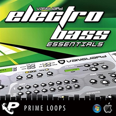 VANGUARD ELECTRO BASS ESSENTIALS(オンライン納品)(2時間以内に納品)