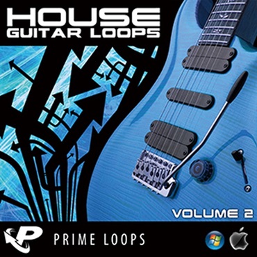 HOUSE GUITAR LOOPS 2(オンライン納品)(2時間以内に納品)