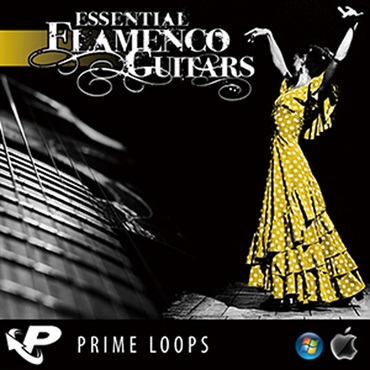 ESSENTIAL FLAMENCO GUITARS(オンライン納品)(2時間以内に納品)