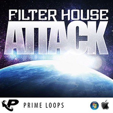 FILTER HOUSE ATTACK(オンライン納品)(2時間以内に納品)