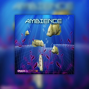 AMBIENCE(オンライン納品)(2時間以内に納品)