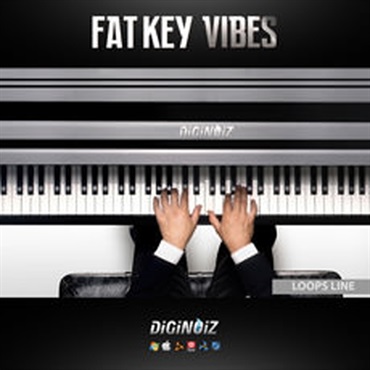DIGINOIZ FAT KEY VIBES 1(オンライン納品)(2時間以内に納品)