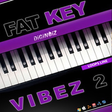 FAT KEY VIBEZ 2(オンライン納品)(2時間以内に納品)