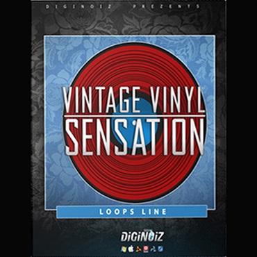 VINTAGE VINYL SENSATION(オンライン納品)(2時間以内に納品)