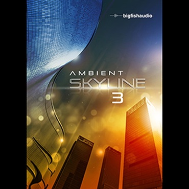BIG FISH AUDIO AMBIENT SKYLINE 3(オンライン納品)(2時間以内に納品)