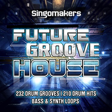 FUTURE GROOVE HOUSE(オンライン納品)(2時間以内に納品)