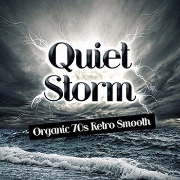 QUIET STORM(オンライン納品)(2時間以内に納品)