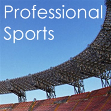 PROFESSIONAL SPORTS(オンライン納品)(2時間以内に納品)